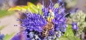 Album Kleine Welten ansehen
 47 Bilder