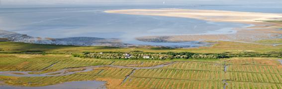 Luftaufnahmen Ostfr.Inseln:
K 1004 Luftaufnahme  Borkum-2